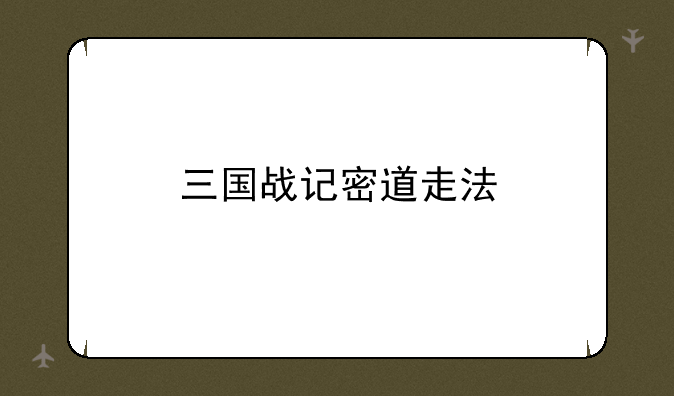 三国战记密道走法