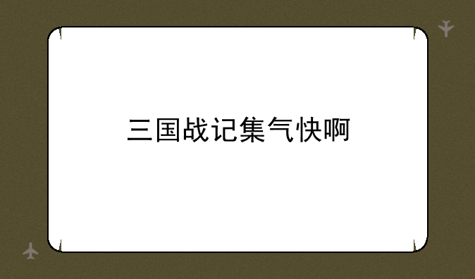三国战记集气快啊