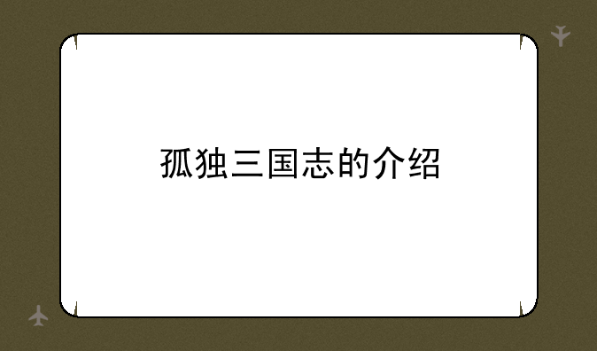 孤独三国志的介绍