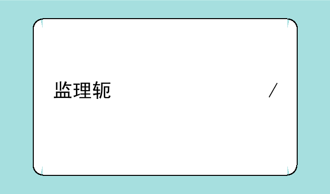 监理软件检测手段