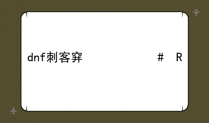 dnf刺客穿什么甲