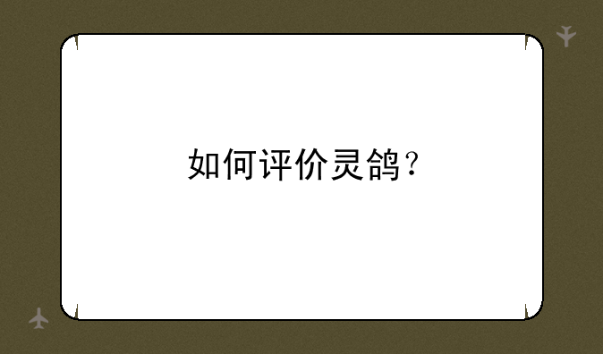 如何评价灵鸽？