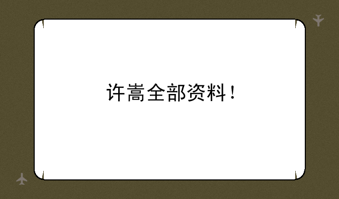 许嵩全部资料！