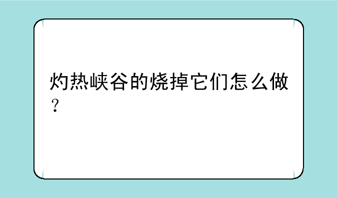 灼热峡谷的烧掉它们怎么做？