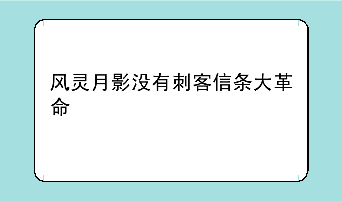 风灵月影没有刺客信条大革命