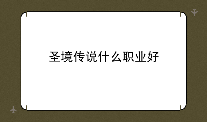 圣境传说什么职业好