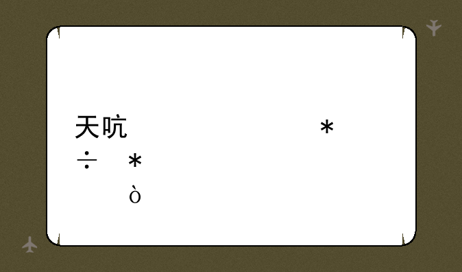 天启者110技能加点？