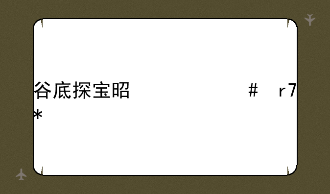 谷底探宝是什么服务