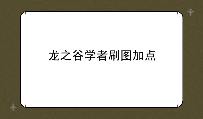 龙之谷学者刷图加点