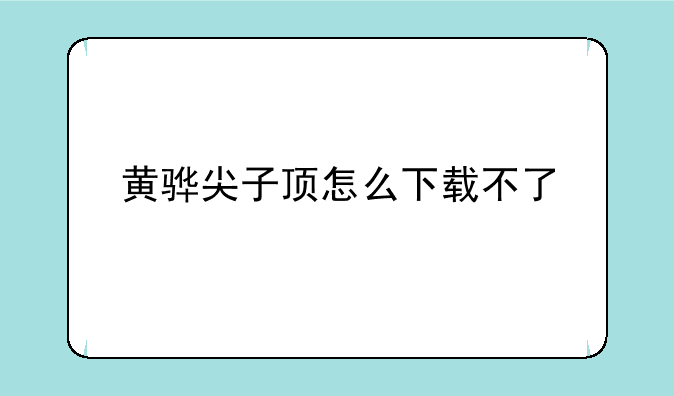 黄骅尖子顶怎么下载不了