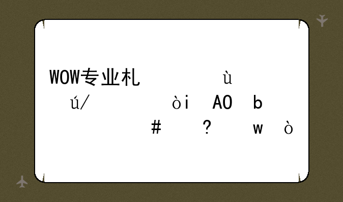 WOW专业术语~~例如：DPS是什么意思？