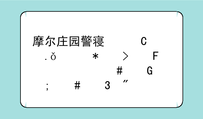 摩尔庄园警察【精英任务古董失窃案】怎么完成