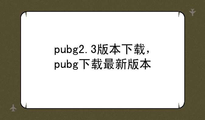 pubg2.3版本下载，pubg下载最新版本