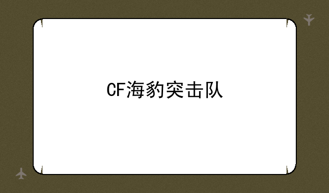 CF海豹突击队