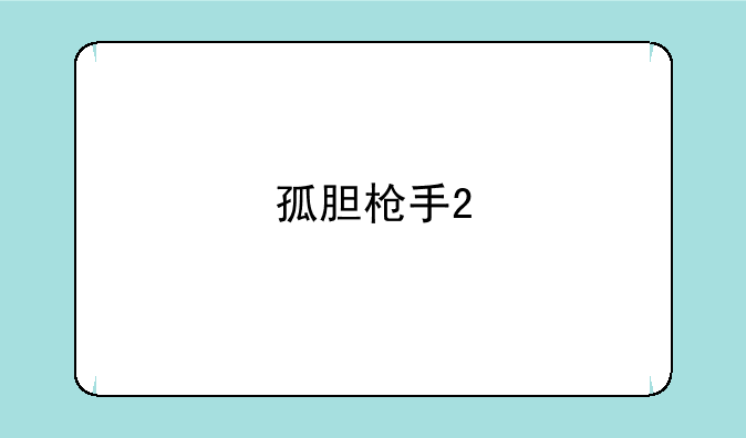 孤胆枪手2